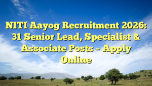 NITI Aayog Recruitment 2026: 31 Senior Lead, Specialist & Associate Posts – Apply Online