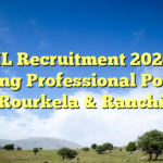 ⚙️ SAIL Recruitment 2026 – 23 Young Professional Posts | Rourkela & Ranchi