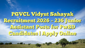 PGVCL Vidyut Sahayak Recruitment 2026 – 236 Junior Assistant Posts for PwBD Candidates | Apply Online