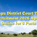 Kodagu District Court Typist Recruitment 2026 Apply Online for 8 Posts