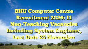 BHU Computer Centre Recruitment 2026: 11 Non-Teaching Vacancies Including System Engineer, Last Date 25 November