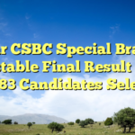 Bihar CSBC Special Branch Constable Final Result 2026 Out: 83 Candidates Selected