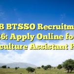 CSB BTSSO Recruitment 2026: Apply Online for 15 Sericulture Assistant Posts