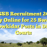 DSSSB Recruitment 2026: Apply Online for 25 Sweeper & Chowkidar Posts in District Courts