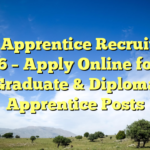 Ircon Apprentice Recruitment 2026 – Apply Online for 54 Graduate & Diploma Apprentice Posts