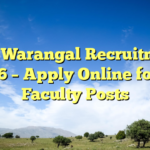 NIT Warangal Recruitment 2026 – Apply Online for 34 Faculty Posts
