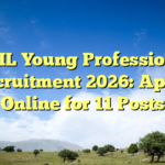 SAIL Young Professional Recruitment 2026: Apply Online for 11 Posts