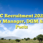THDC Recruitment 2026: 10 Senior Manager, DGM & AGM Posts