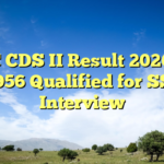 UPSC CDS II Result 2026 Out: 8,956 Qualified for SSB Interview